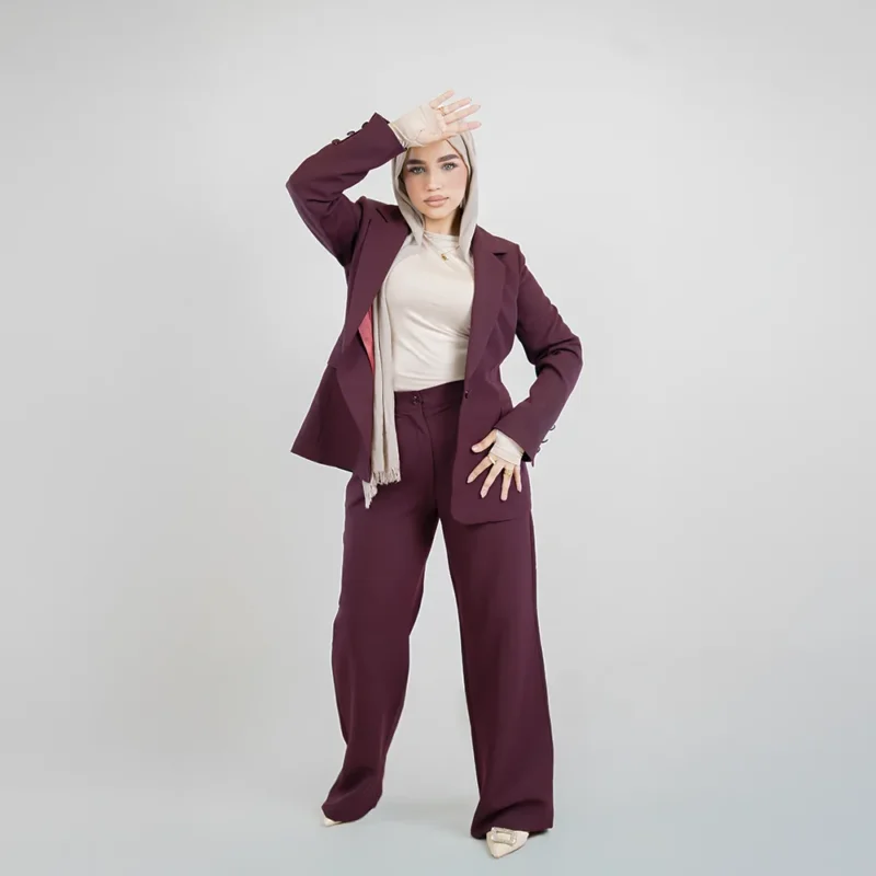 Formal Suit - Full Sleeve Burgundy